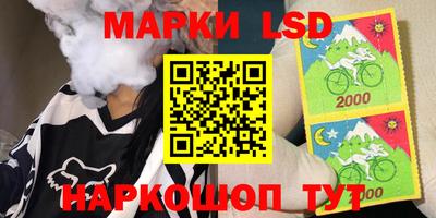 стафф Донецк